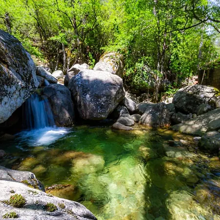 Les Jardins D Eve Solenzara Townhouse With Private Pool Holiday home *