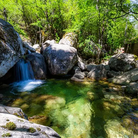 Les Jardins D'eve, Solenzara, Townhouse With Private Pool Сasa de vacaciones Favone